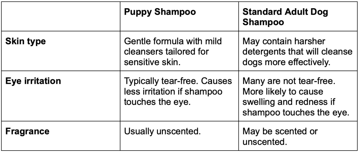 Furbulous Guide To Shampooing Your Puppy Pet Master Singapore